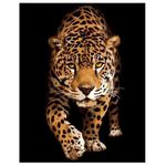 Картина по номерам Strateg R 8 /28 (DY257)(41872) Оntвlnirea cu leopardul, 40x50 cm