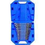 Cheie fixă King Tony 13012MR ключи комбинированные с трещоткой шарнирные 8-19мм 12 пр. пласт.кейсе