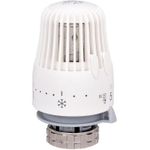 Аксессуар для систем отопления miscellaneous Cap termostatic cu lichid M30x1.5 PF