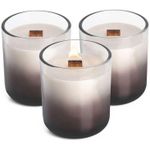 Свеча TAGU CandlePlace 3 cu trosnet si miros de semineu