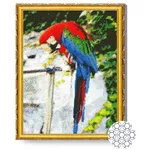Tablou pe numere Art Gallery GA82798 Mozaic cu diamante Papagal minunat 40x50cm