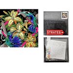 Tablou pe numere Strateg 57230 (fundal negru) 40x40cm, Colibri