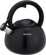 Чайник Tefal N4180410 Duetto+ 2,5l