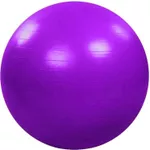 Мяч Arena мяч фитнес 75 см 826075F фиолет