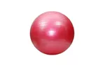 Мяч гимнастический с насосом d=65 см S124-15 (2776)