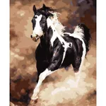Картина по номерам Richi (05905) Mozaic cu diamante Calul alb-negru 40x50
