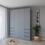 Dulap Smartex (15927) N17 160cm Grafit