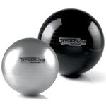 Minge Technogym 4782 fitball Wellness Ball Training