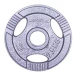 Гантель inSPORTline 328 Disc d=30 mm metal 2,5 kg Hamerton 12709