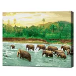Картина по номерам Art Gallery GX41791 40x50cm Eco, Elefanti in jungla