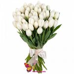 45 Белых тюльпанов
