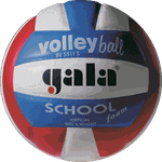 Мяч волейбольный N5 Gala School Foam 5511 (1136)
