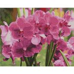 Картина по номерам Strateg FA10634 Алмазная мозайка Яркие орхидеи 40x50
