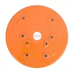Тренажер для баланса inSPORTline 11537 Disc sanatate d=25 cm 483 magnetic (max 100kg)
