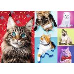 Головоломка Trefl 10591 Puzzles - 1000 - Happy cats