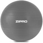 Minge Zipro Gym ball Anti-Burst 65cm Gray