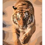 Картина по номерам Strateg 57259 Puterea si gratia tigrului 40x50cm