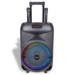 Giga sistem audio Bontempi 491080 Набор караоке с микрофоном и светом передвижной