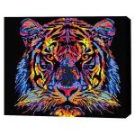 Tablou pe numere BrushMe BSB0024FC (fără cutie) Tigru multicolor
