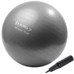 Мяч HMS 9477 Minge gimnastica d=75cm cu pompa Gray YB02 (17-42-179)