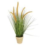 Plantă artificială Holland 48342 NVT Цветок искусственный Цветущая трава 52cm