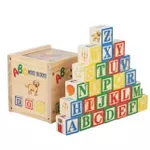 Jucărie ToyMall 008852 Cuburi din lemn 24pcs