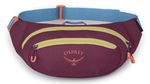 Поясная сумка Osprey Daylite Waist moody burgundy hip (810145598719)