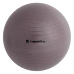 Мяч гимнастический 45 см inSPORTline Top Ball 3908 (2996)