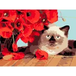 Картина по номерам Strateg 58067 Pisicuta printre maci 30x40cm (fundal negru)