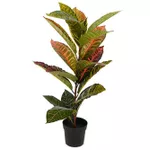 Искусственное растение Promstore 27954 Floare artificiala Calatea 65cm