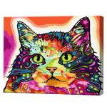 Разноцветный кот, 40х50 см, картина по номерам Артукул: GX25863