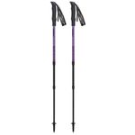 Bețe pentru trekking Masters HIKER Compact Lite 01S1125