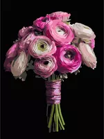 Tablou pe numere Strateg 58064 Buchet roz 40x50cm (fundal negru)