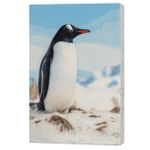 Картина по номерам BrushMe BS54260 40x50cm Eco, Principalul vecin al cercetatorilor polari