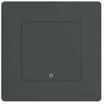 Выключатель электрический Moes ZT-SR-EU1-GY-MS