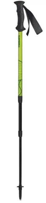 {'ro': 'Bețe pentru trekking Masters SCOUT Lime (01S1825)', 'ru': 'Треккинговые палки Masters SCOUT Lime (01S1825)'}