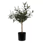 Plantă artificială Promstore 55249 Maslin 66cm, in ghiveci