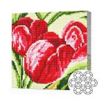 Tablou pe numere Art Gallery BJ700 Mozaic cu diamante 20x20cm Lalele rosii