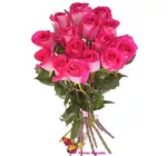 Buchet fuxia de 15 trandafiri  80-90CM