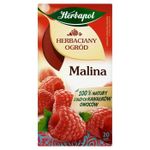 Чай фруктовый Tea Garden Raspberry, 20 шт