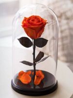Вечная Оранжевая Роза в колбе