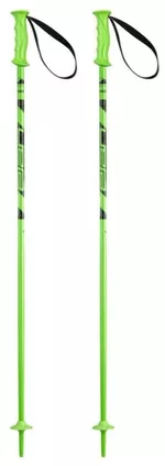Лыжные палки Elan Rock Rod JR green 090 (CD834023 090)