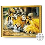 Картина по номерам Art Gallery GA86330 Mozaic cu diamante Tigru si motanasi 40x50cm