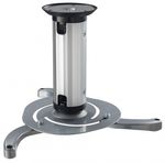 Ceiling Mount Reflecta 