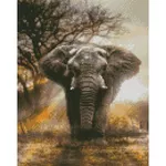 Картина по номерам Strateg 58092 Pictura cu diamante 30x40cm, Un elefant puternic
