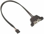 ASRock DESKMINI 2XUSB2.0 CABLE