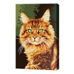 Tablou pe numere Art Gallery CX3743 20x30cm Motan roscat