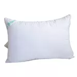 Set de perne si plapume Relaxe Home 019812 Perna ALOE VERA (50x70)