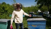 Povestea unui tânăr care și-a făcut un regat al mierii cu ajutorul UE