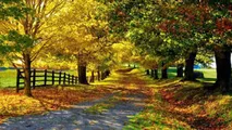 Prognoza meteo: Cum va fi vremea în acest weekend de noiembrie